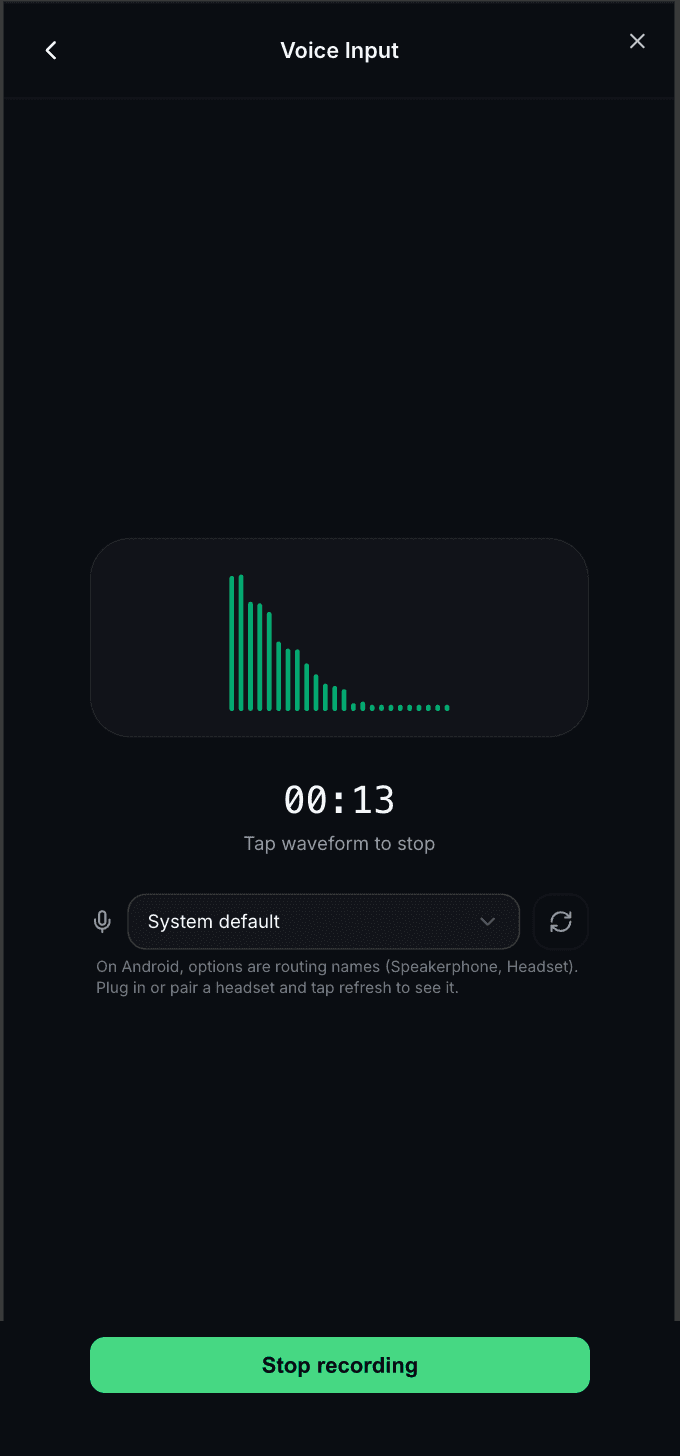Logging expenses by voice