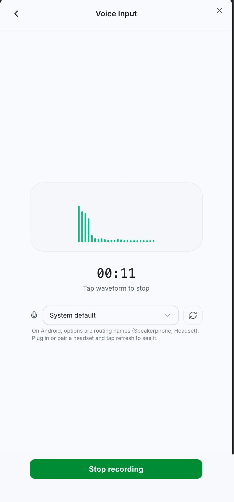 Logging expenses by voice